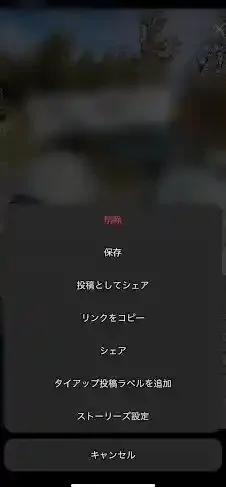 出展:instagram.com