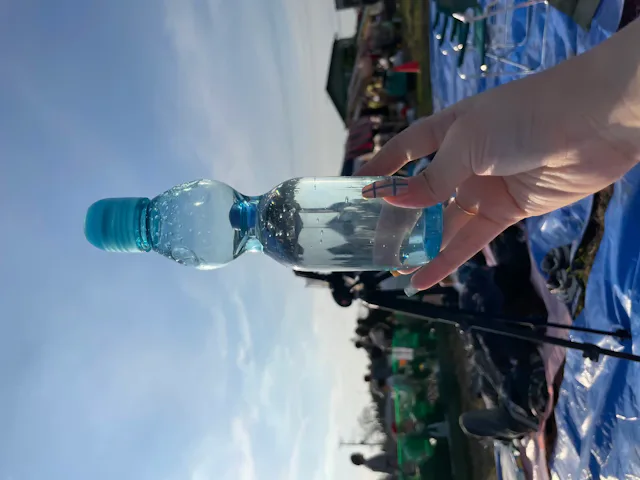 グリーニュースプラス編集部