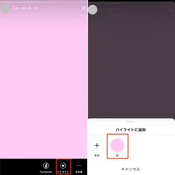グリーニュースプラス編集部