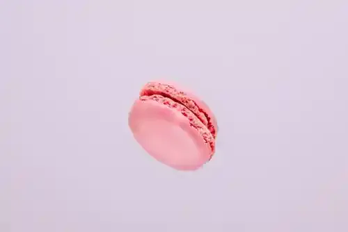 shutterstock.com