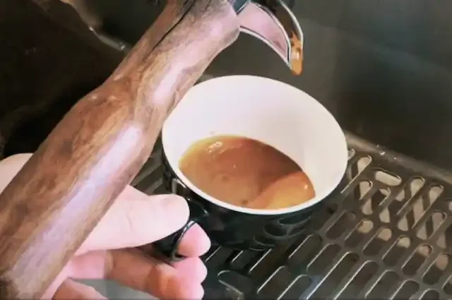 グリーニュースプラス編集部