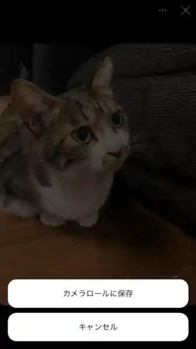 グリーニュースプラス編集部