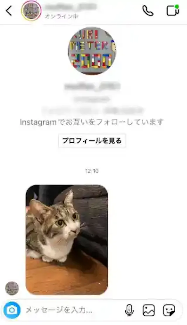 グリーニュースプラス編集部