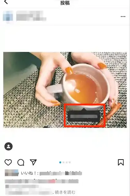 グリーニュースプラス編集部
