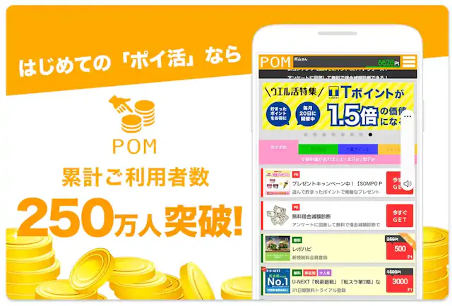  POM