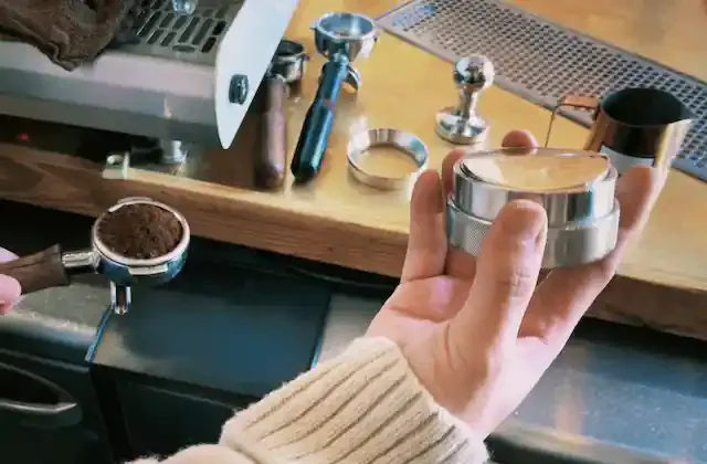 グリーニュースプラス編集部