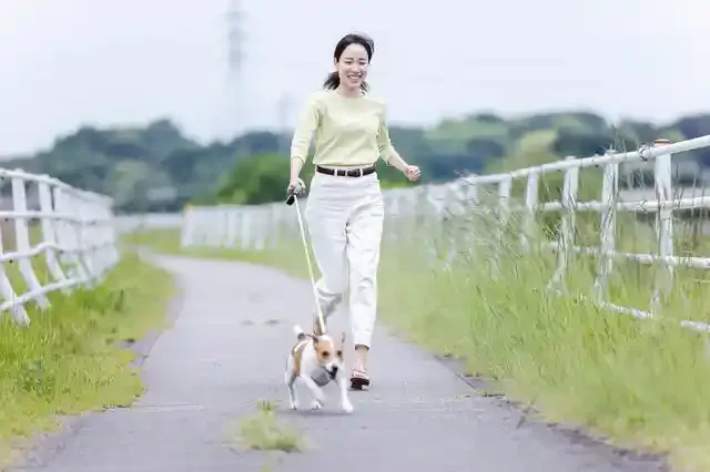 pixta.jp