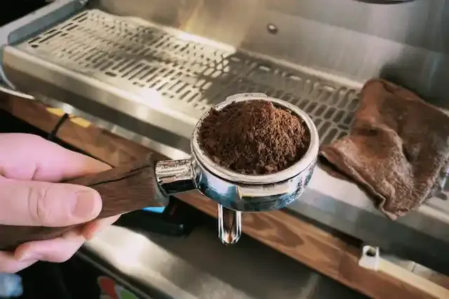 グリーニュースプラス編集部