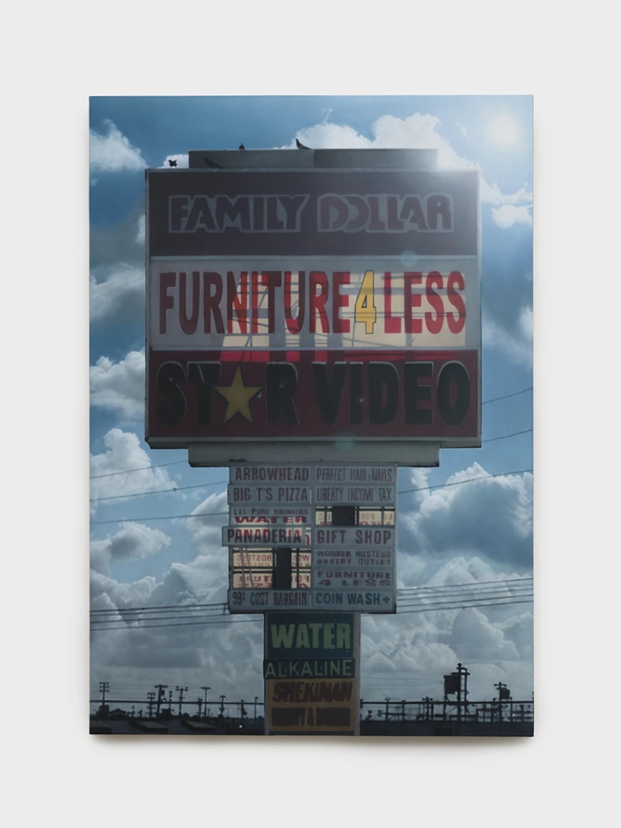 Sayre Gomez, “Family Dollar Star Video 4 Less”, 2025, acrylic on canvas, 182.9 x 127 cm © Sayre Gomez / Photo: Jeff Mclane