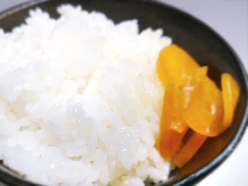 ライス(中・大)
