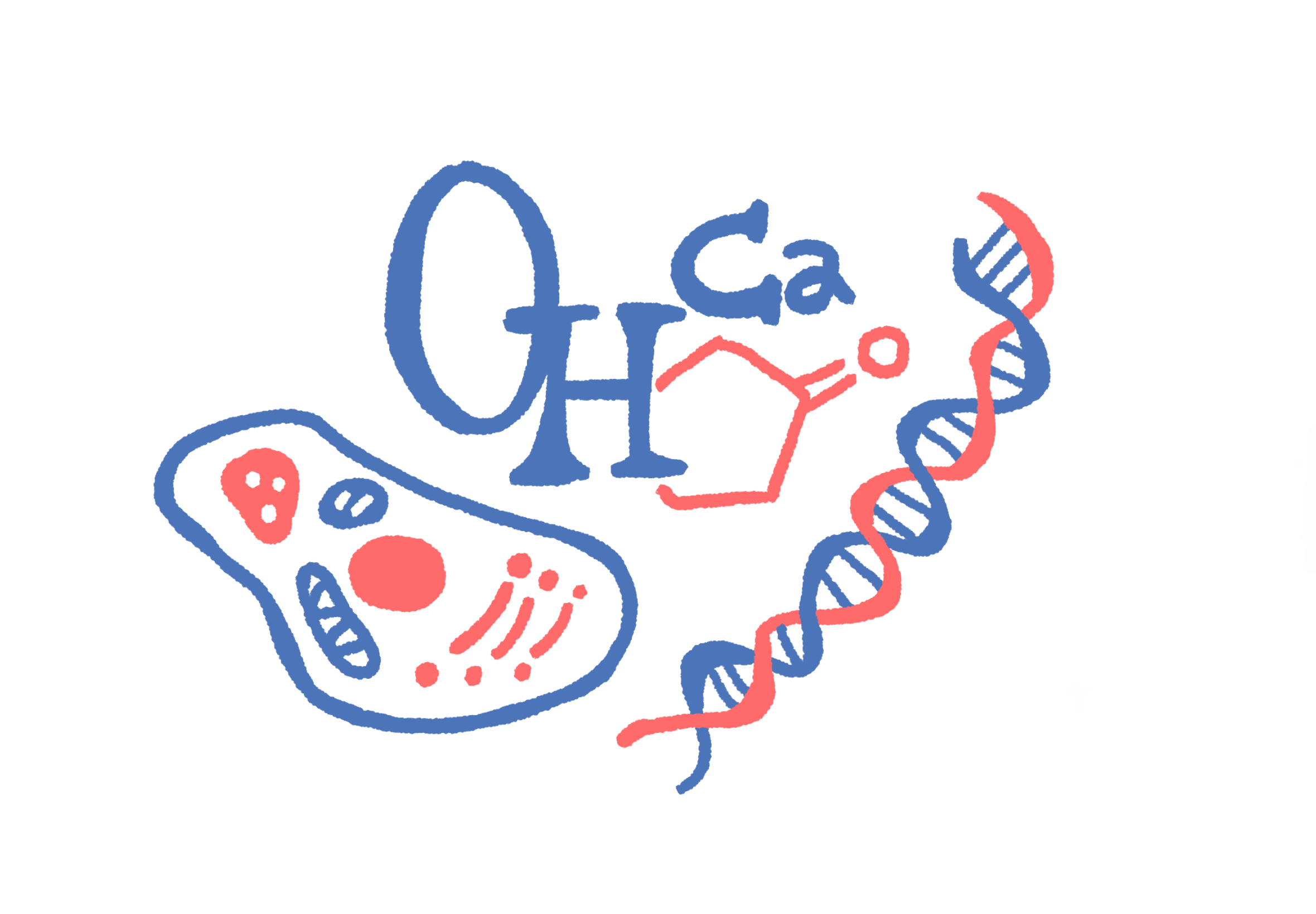 人間をつくる形