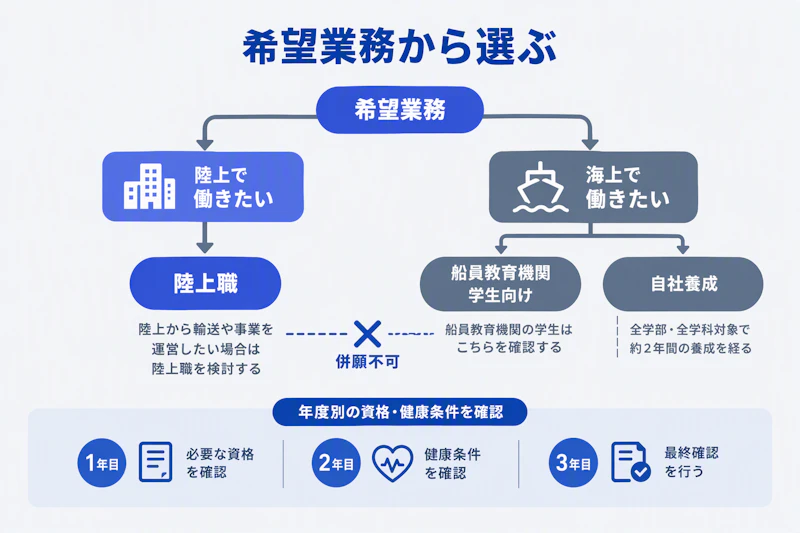 希望業務と教育背景から川崎汽船の新卒応募ルートを選ぶ分岐図