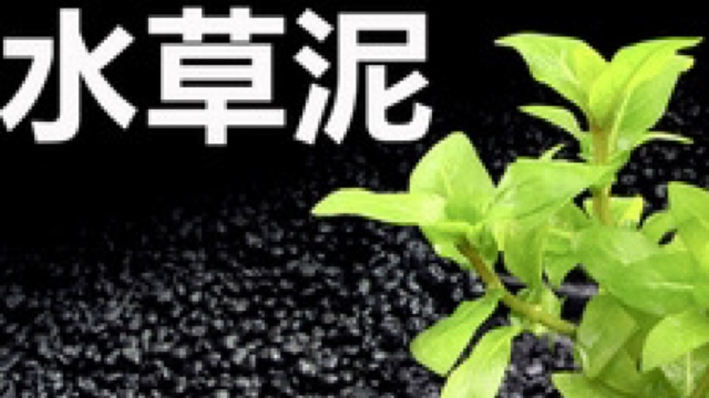 水草泥