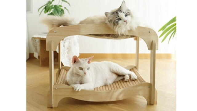 猫の爪とぎ