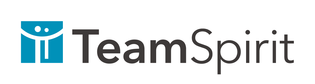 チームスピリット