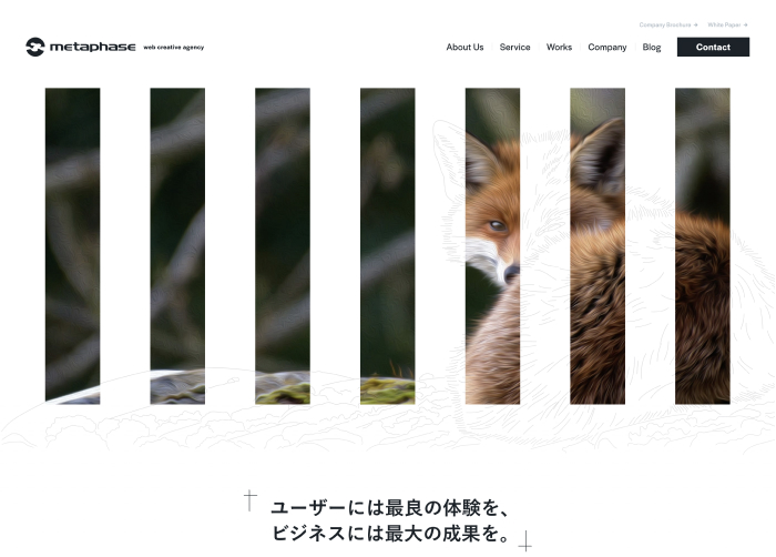株式会社メタフェイズ