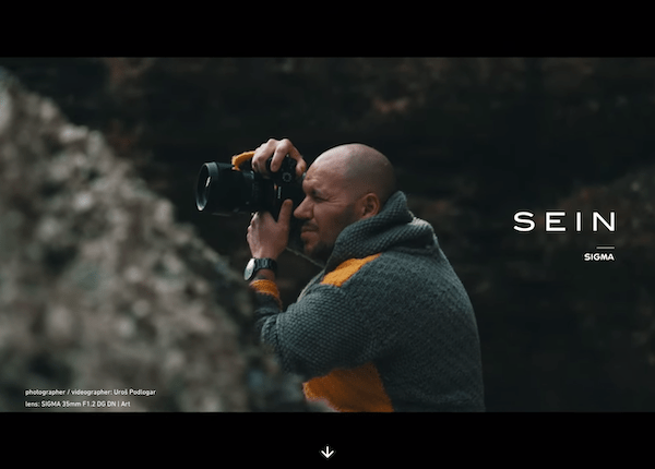 SEINの実績イメージ
