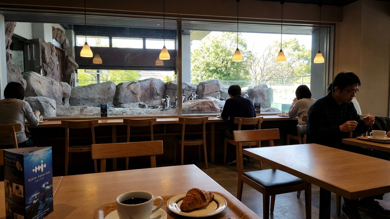 京都水族館の別の角度