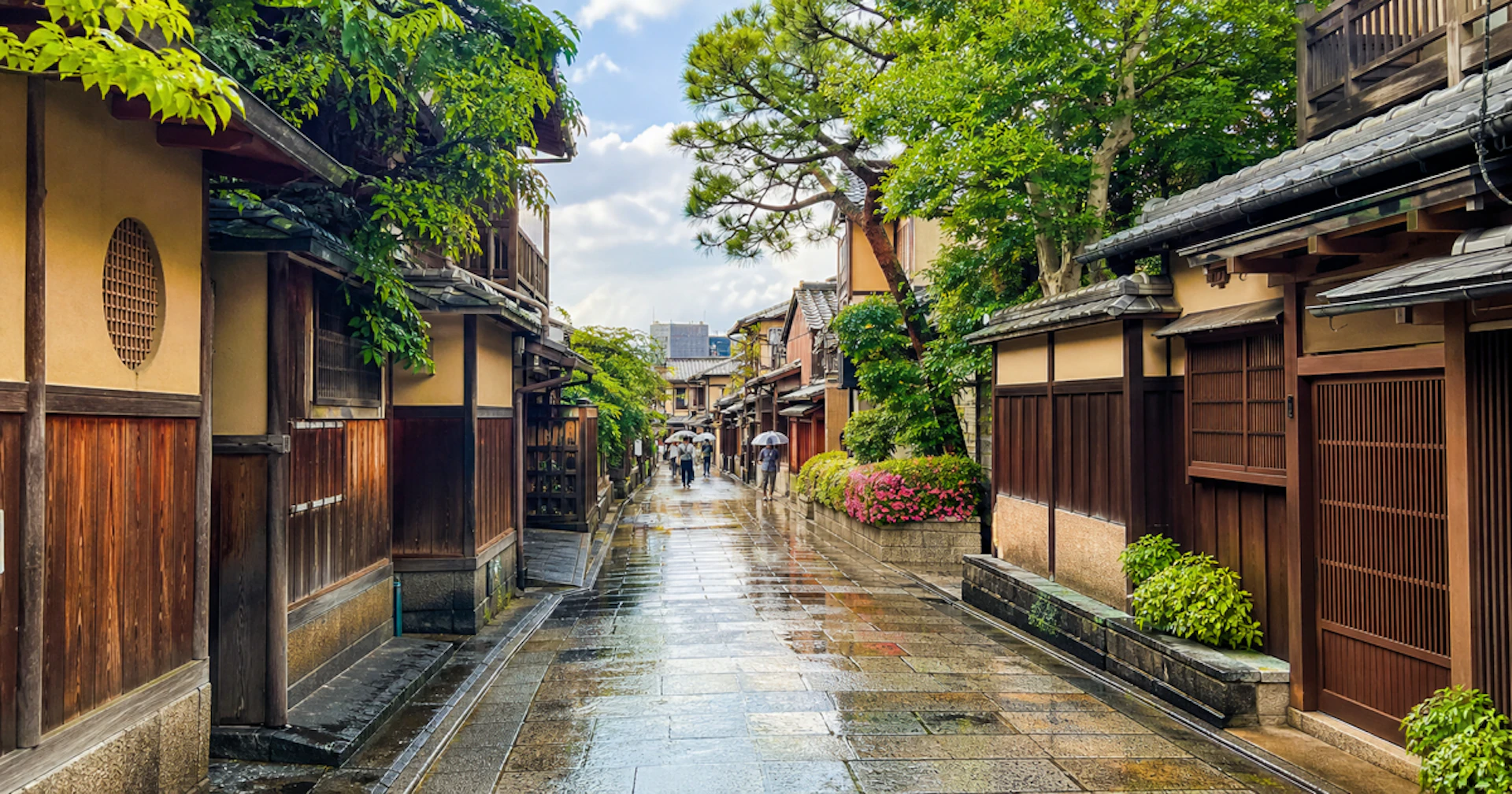 【雨の京都】しっとり楽しむ！おすすめお出かけスポット10選