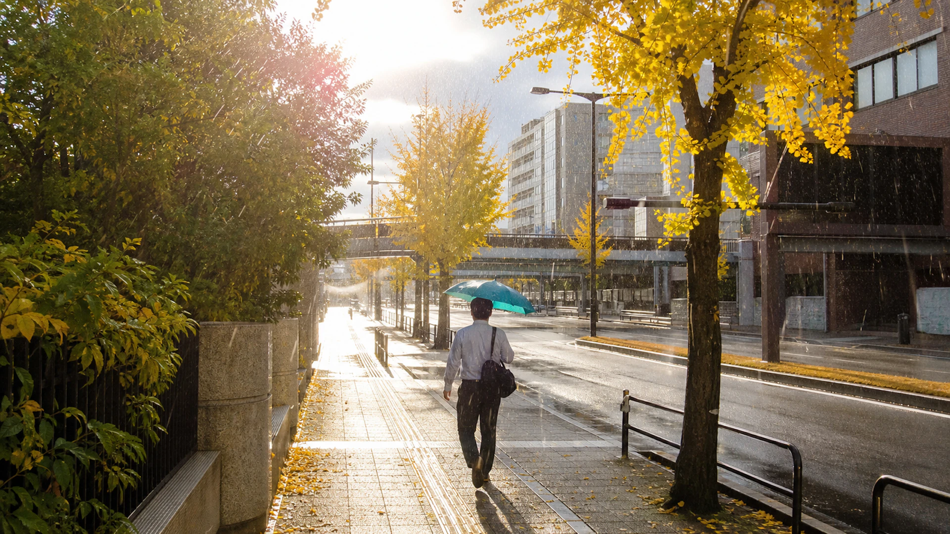 2026年秋の急な雨対策はこれ1本！通勤・外出時の常識を覆す3つの新常識と賢い選択