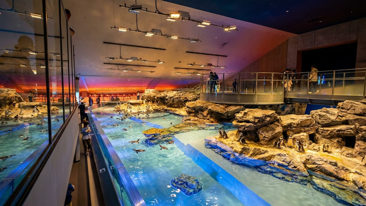 すみだ水族館