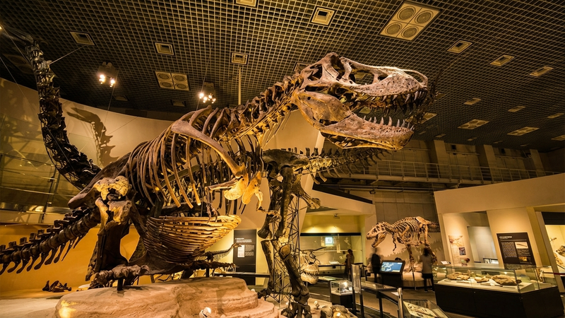 国立科学博物館