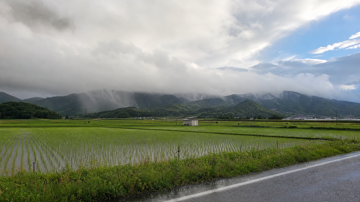 【Q2】「梅雨」ってそもそも何？昔と今で定義は変わったの？