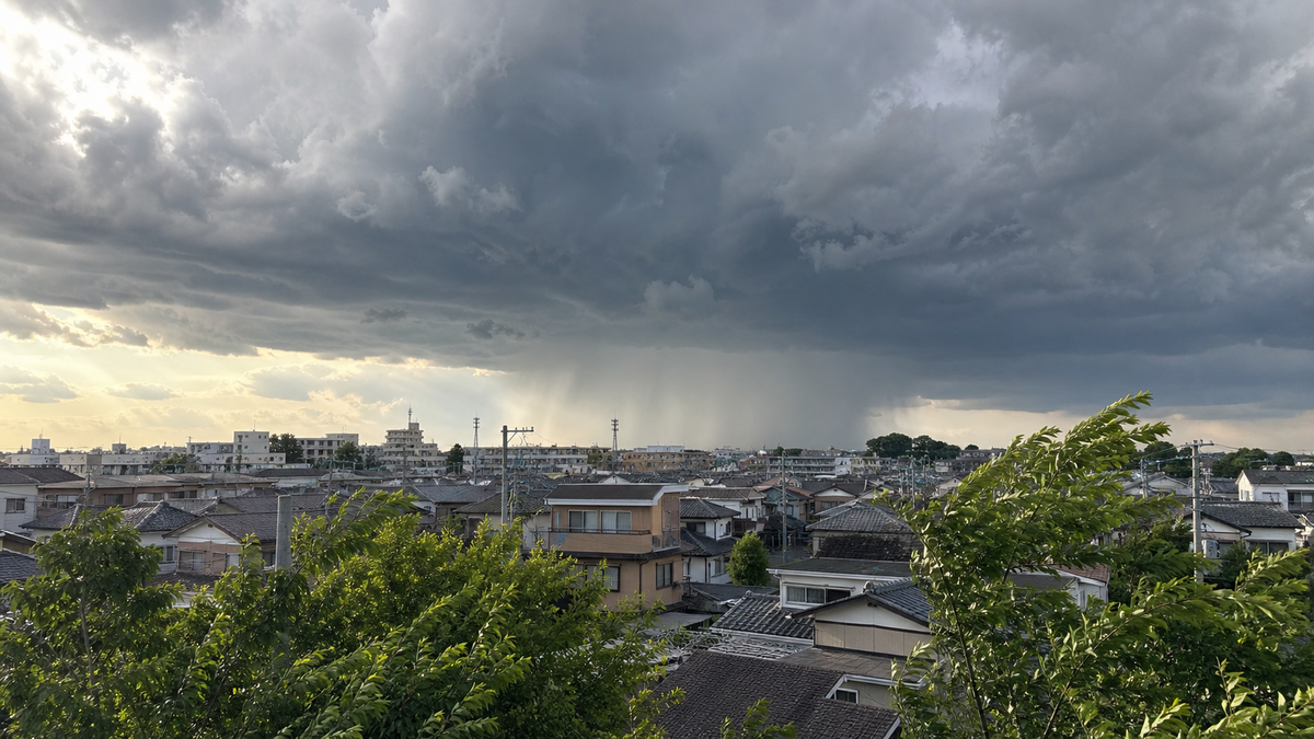 ステップ1：ゲリラ豪雨の「兆候」を見逃さない！予測と情報収集の極意