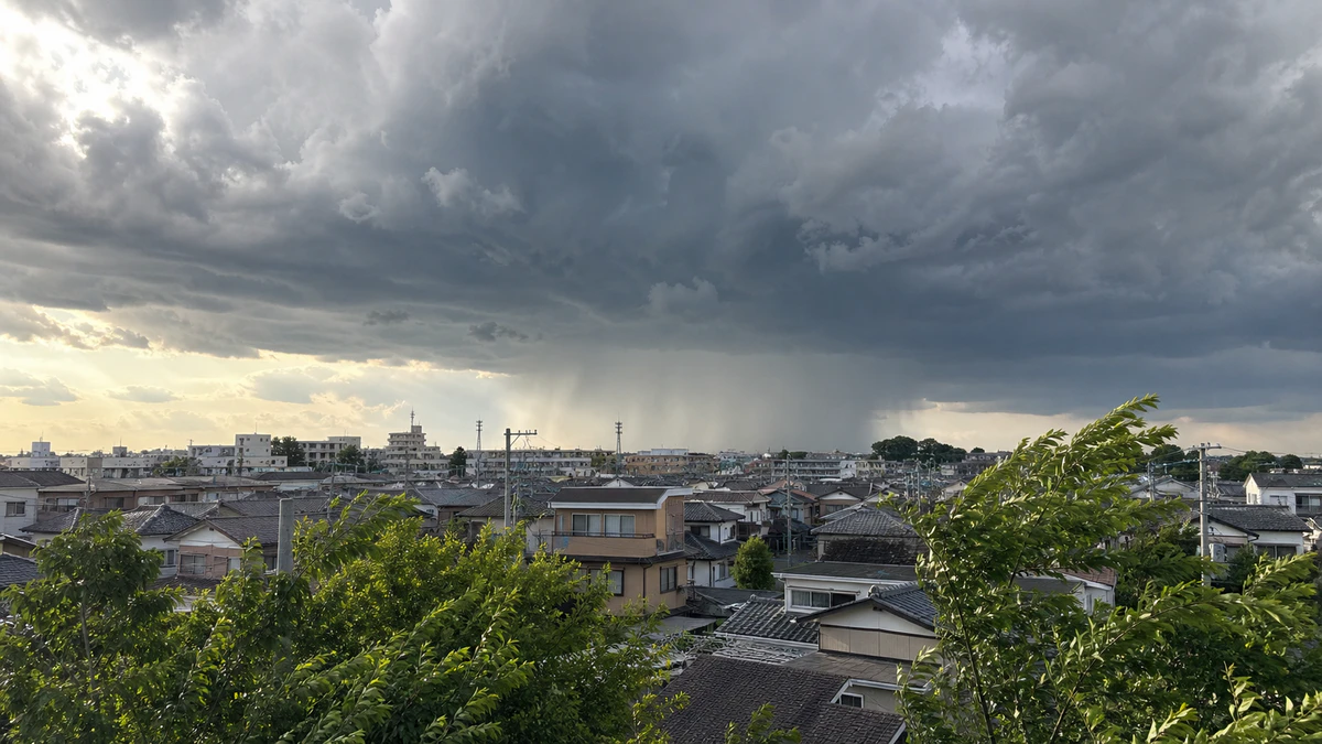 ステップ1:ゲリラ豪雨の「兆候」を見逃さない!予測と情報収集の極意
