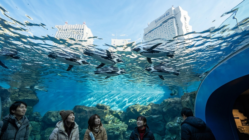 サンシャイン水族館の別の角度