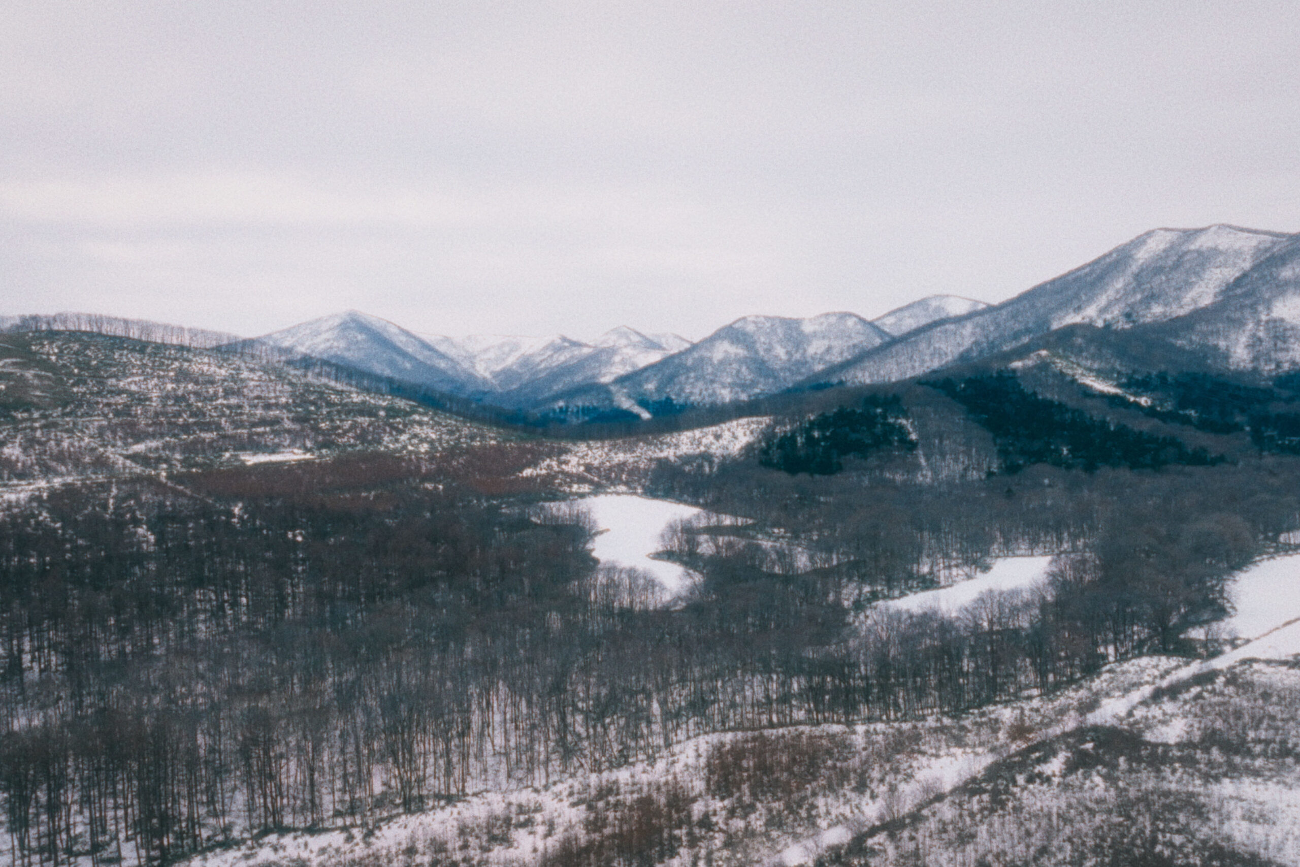 Hakubi – もう一つの世界