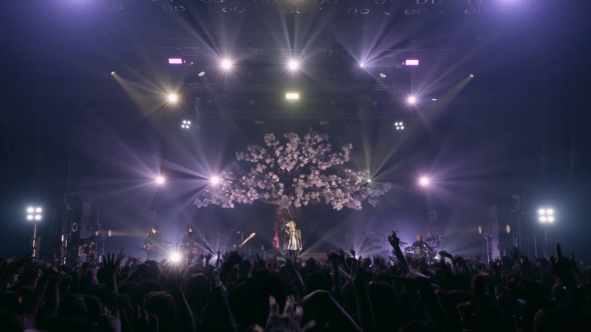 Aile The Shota Oneman Tour 2026