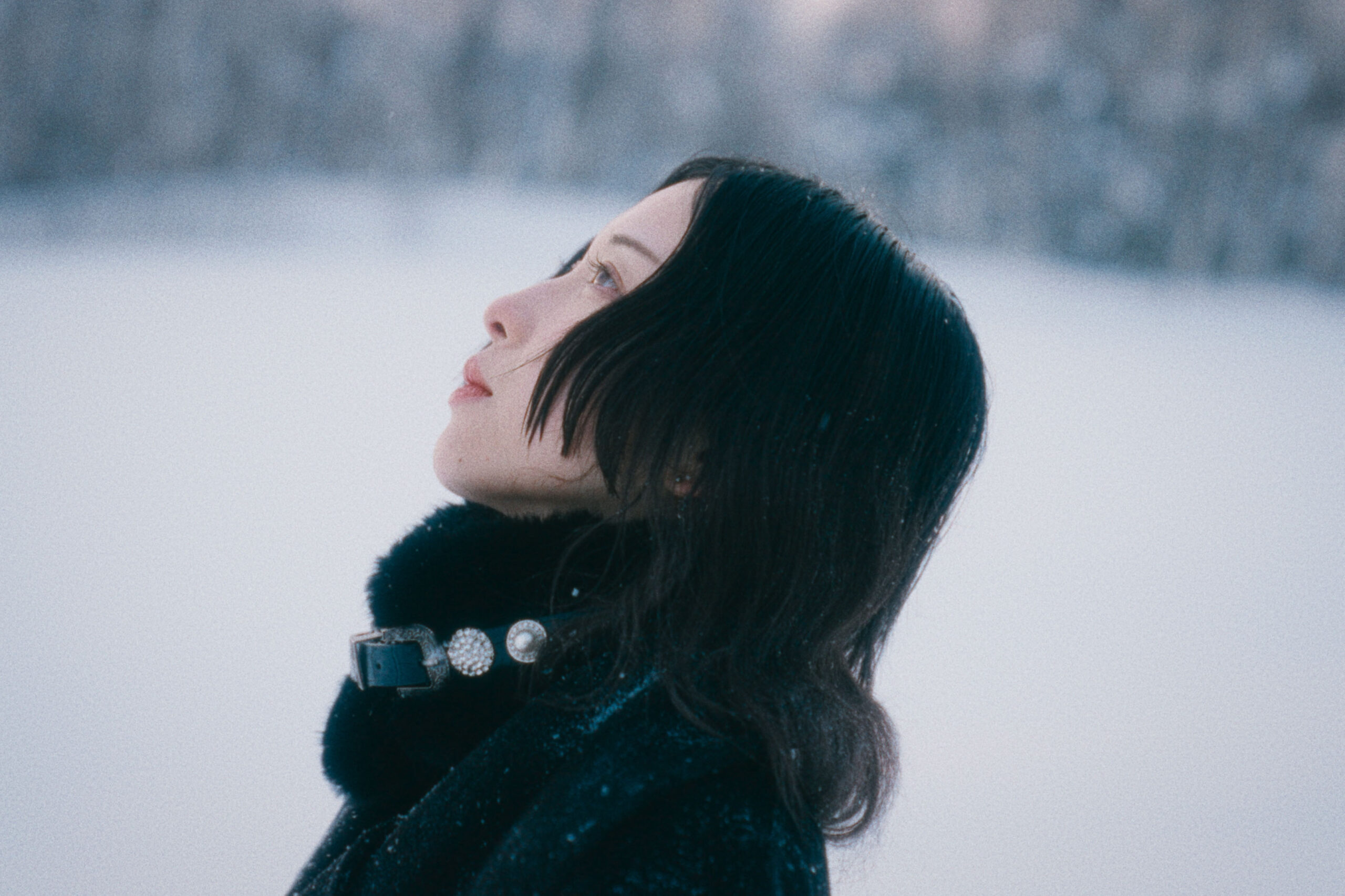 Hakubi – もう一つの世界