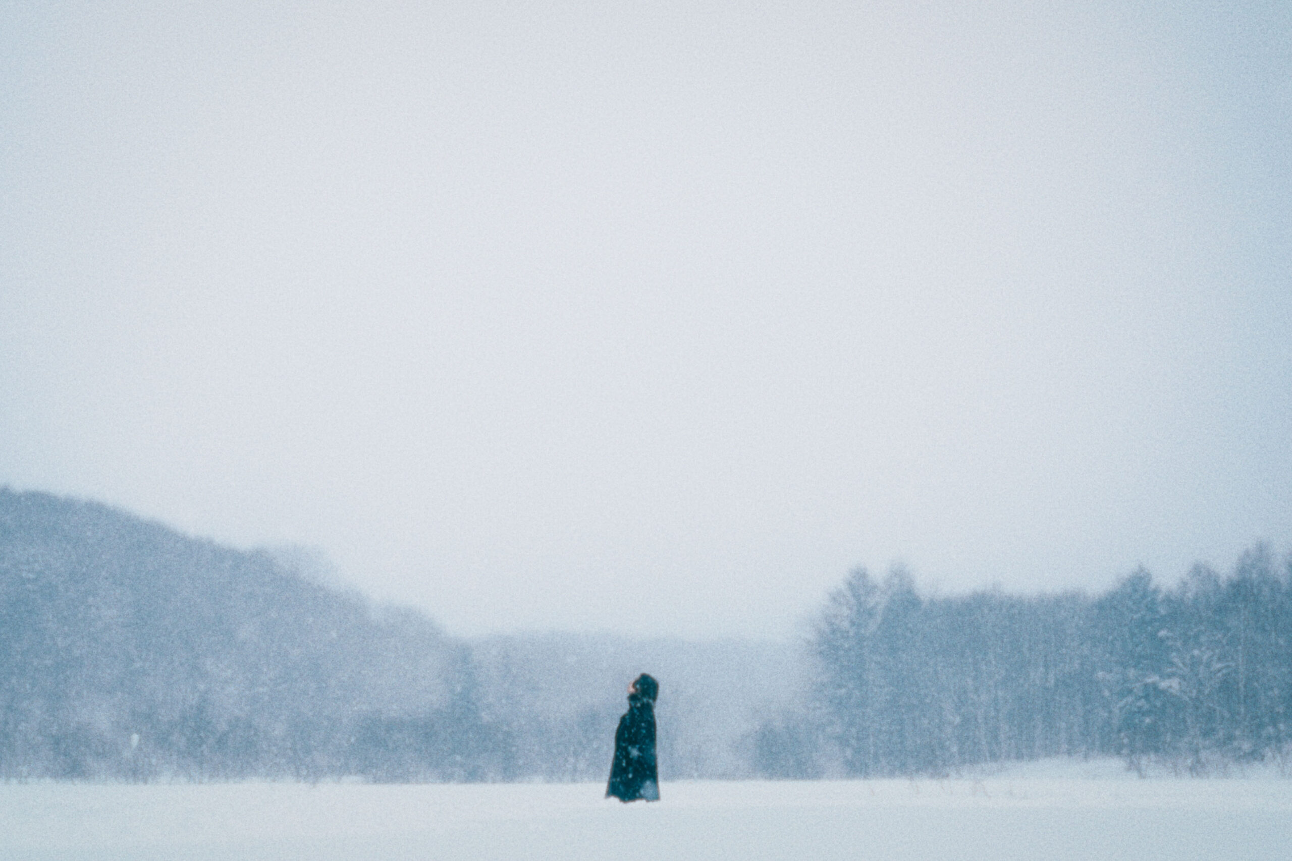 Hakubi – もう一つの世界