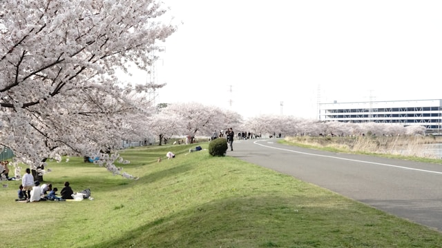 船橋駅近辺のおすすめ駐車場5選！安い駐車場や予約のできる駐車場を厳選