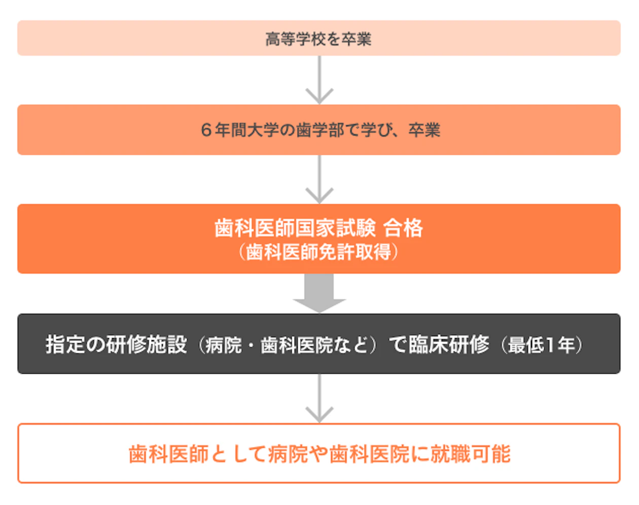 歯科医師の国家試験【2027年】日程、合格基準、合格率／過去問アプリも