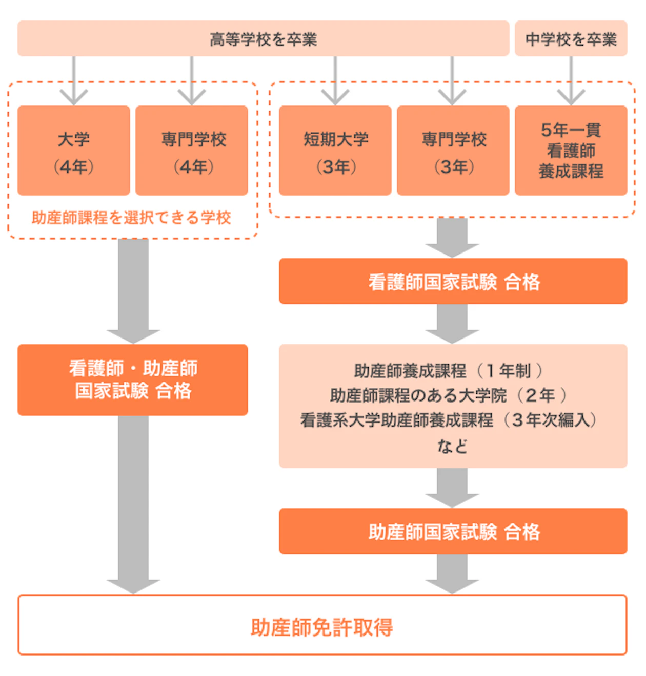 助産師の国家試験とは？【2026年】日程、これまでの合格率や難易度を