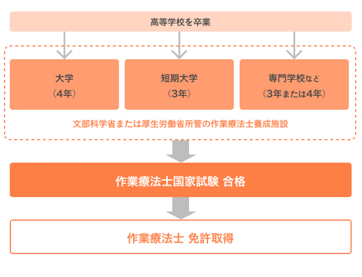 作業療法士（OT）国家試験【2026年】日程、難易度・合格率／過去問