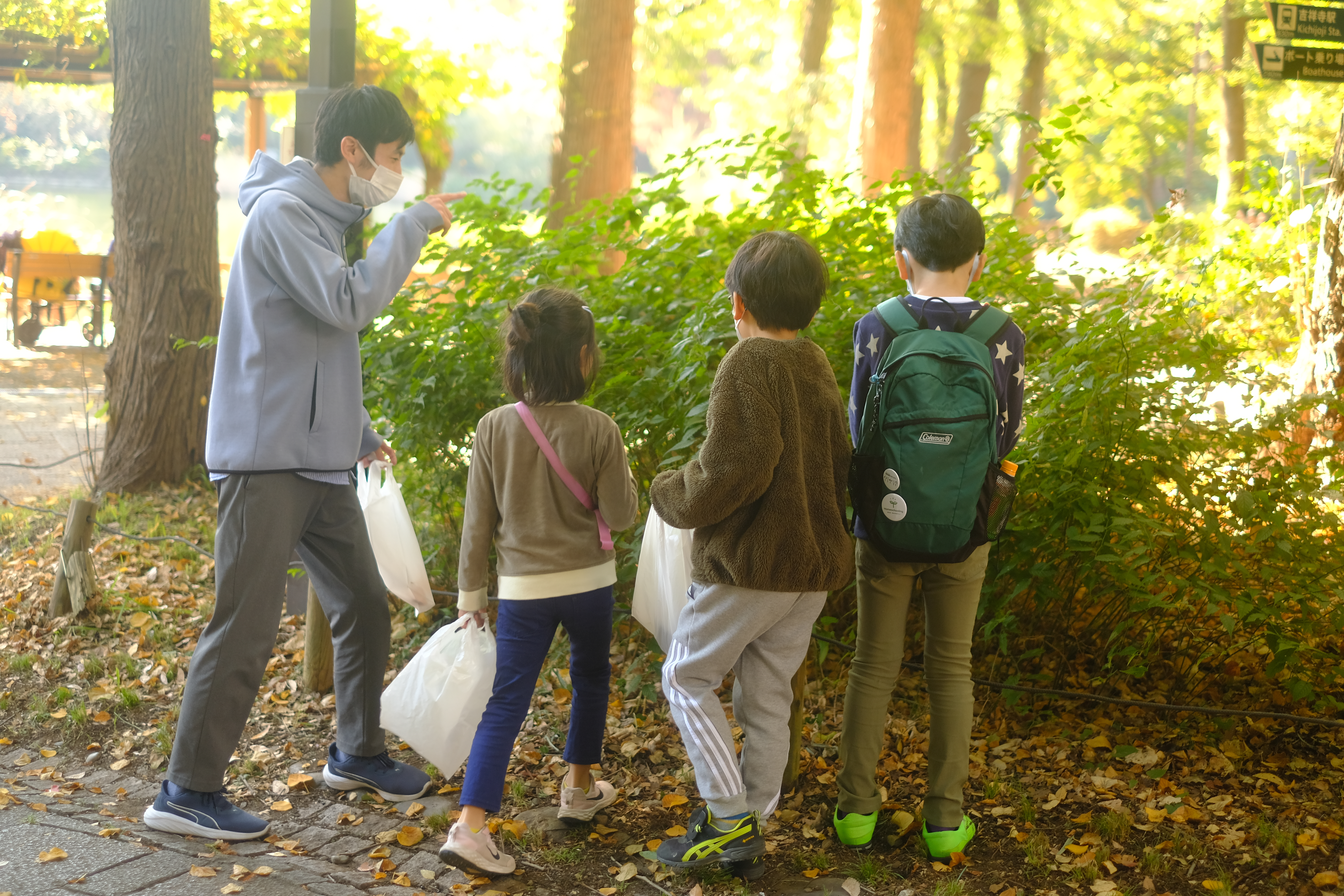 Image in a image block