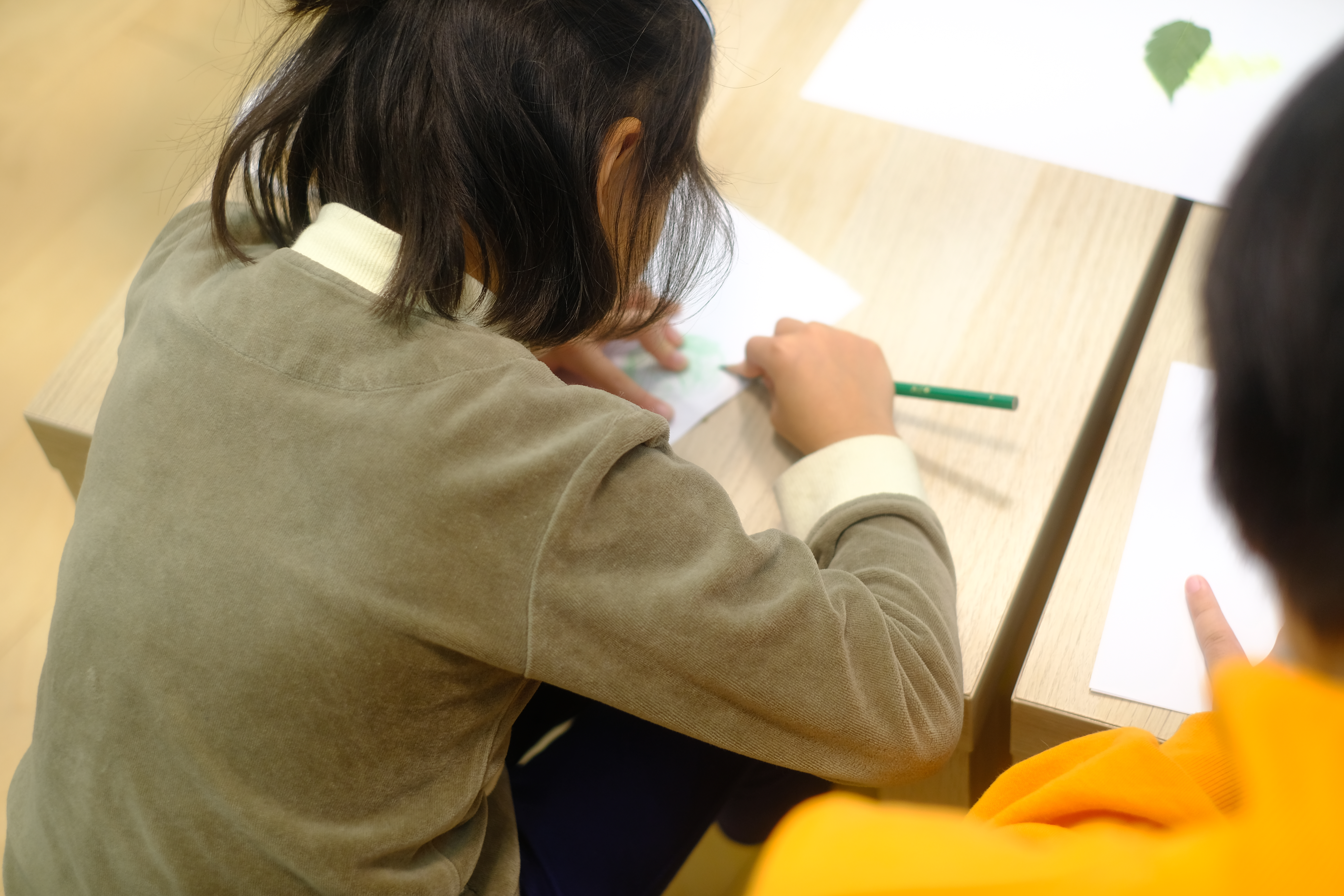 Image in a image block