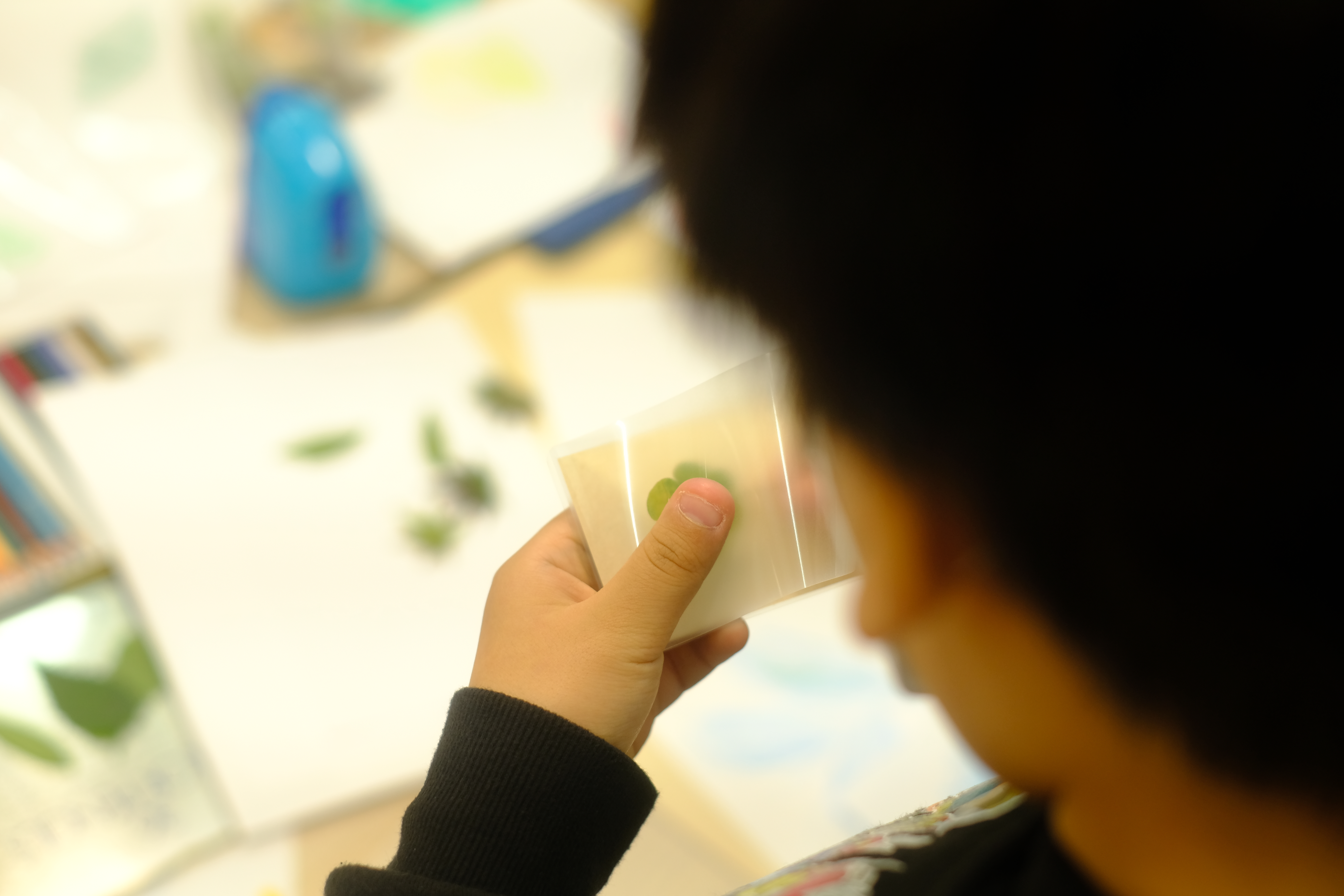 Image in a image block