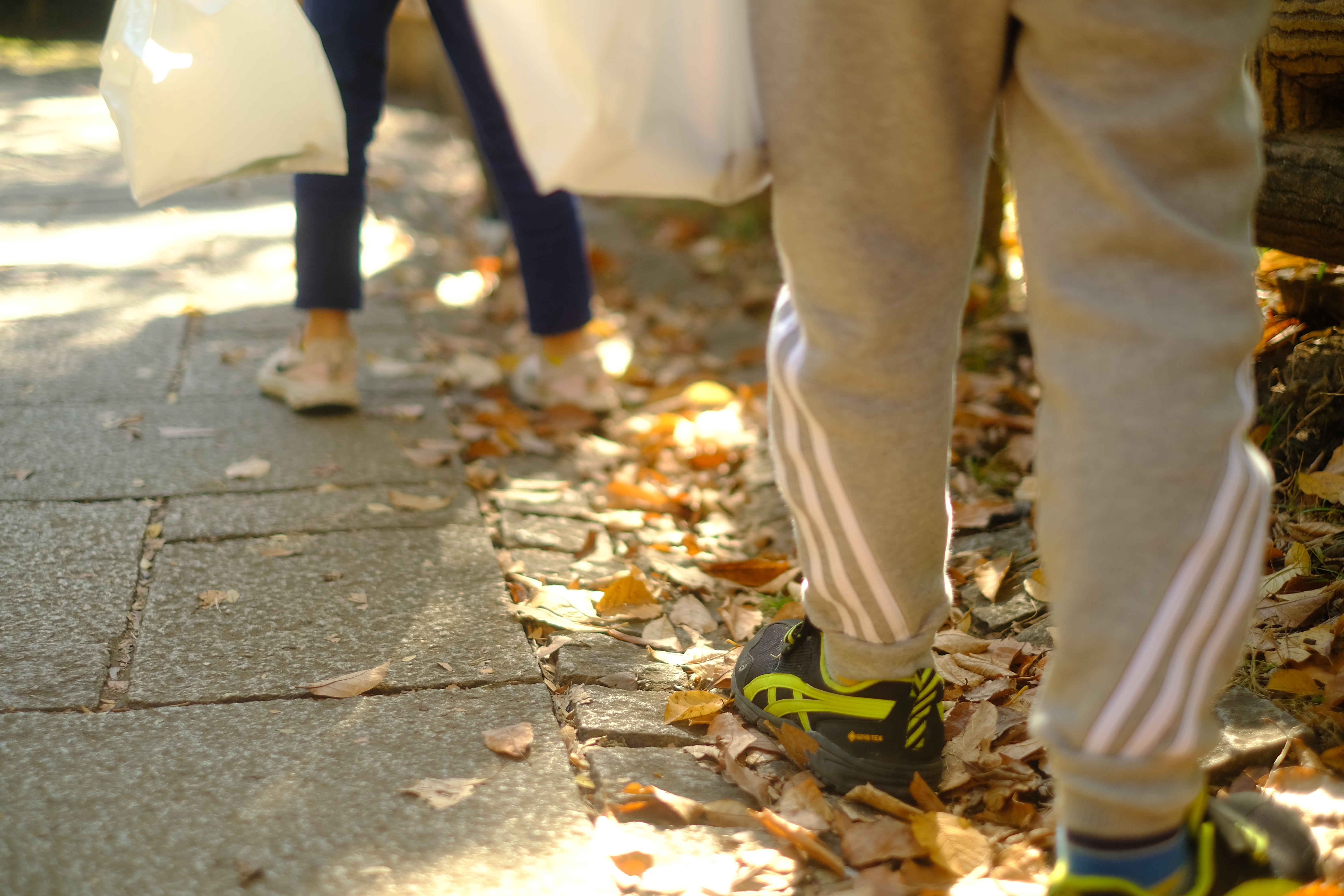 Image in a image block