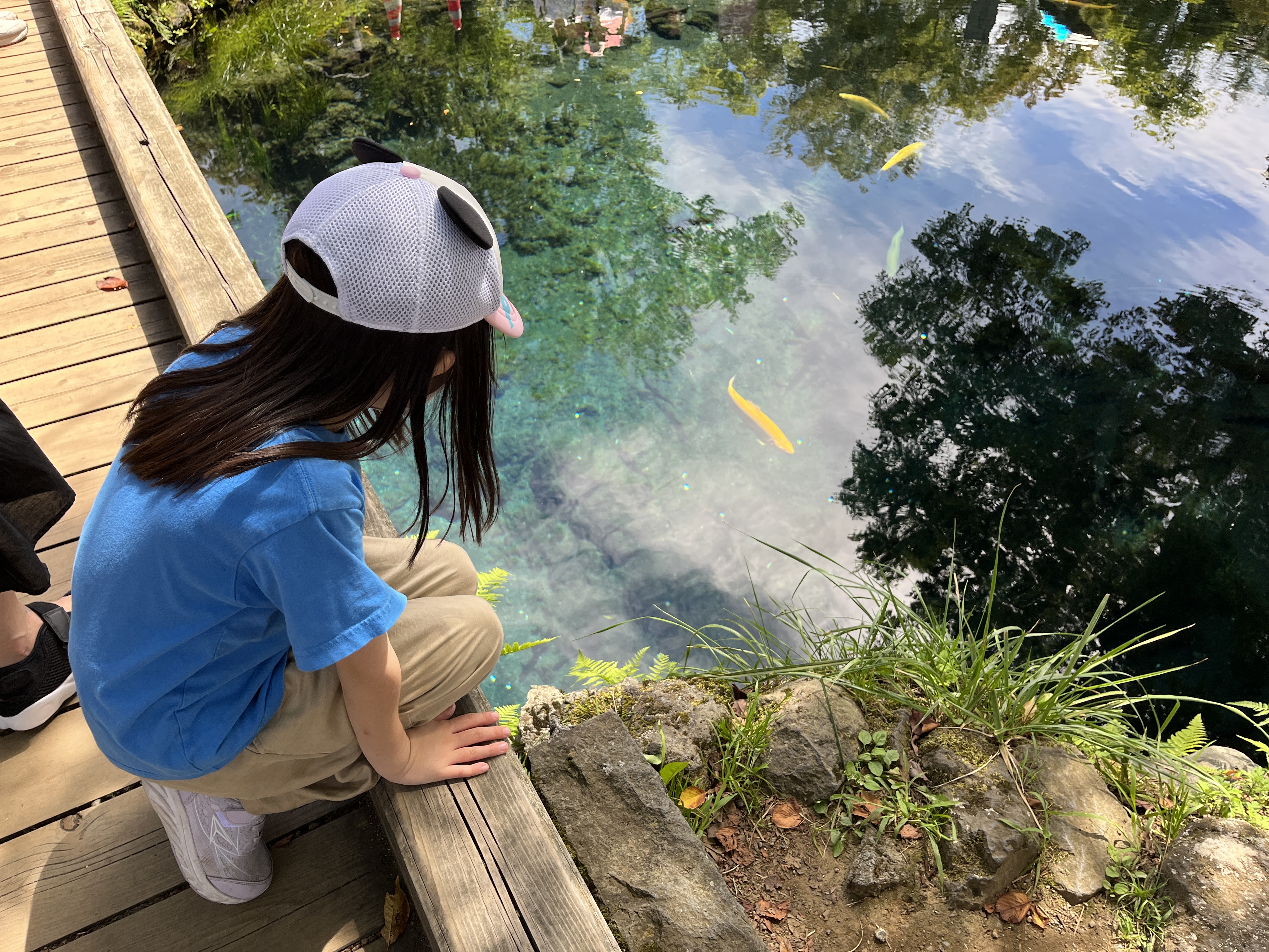 Image in a image block