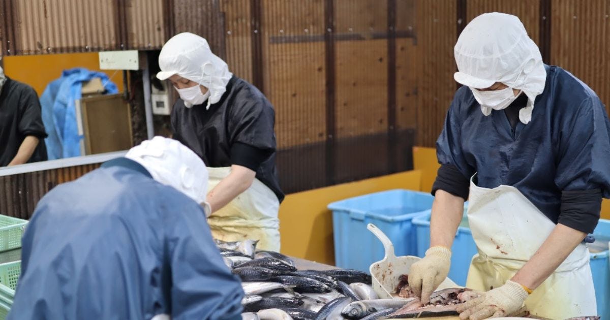 承認業務の手間を「9割」削減、機械トラブルの復旧も迅速化【紀州高下水産の“カミナシ”活用法】