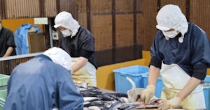 承認業務の手間を「9割」削減、機械トラブルの復旧も迅速化【紀州高下水産の“カミナシ”活用法】