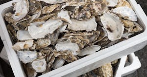 牡蠣の殻は再利用できる！用途や特徴、石灰肥料の活用事例を紹介