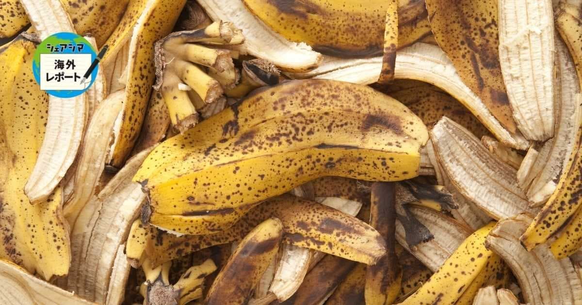 バナナの皮をバイオ燃料に。廃棄物利用で脱炭素社会目指す