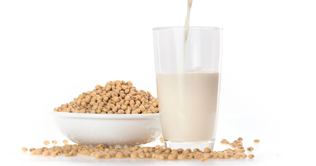 豆乳マヨネーズの作り方を紹介！コレステロールが気になる人やヴィーガンにおすすめ