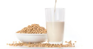 豆乳マヨネーズの作り方を紹介！コレステロールが気になる人やヴィーガンにおすすめ