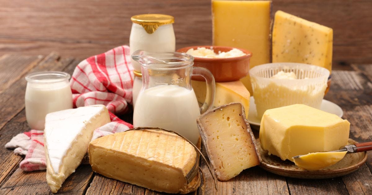 ラクトースフリーとは？牛乳やヨーグルトのデメリットも解説